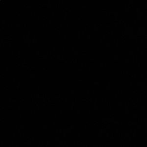 Meet your Posher, Craig